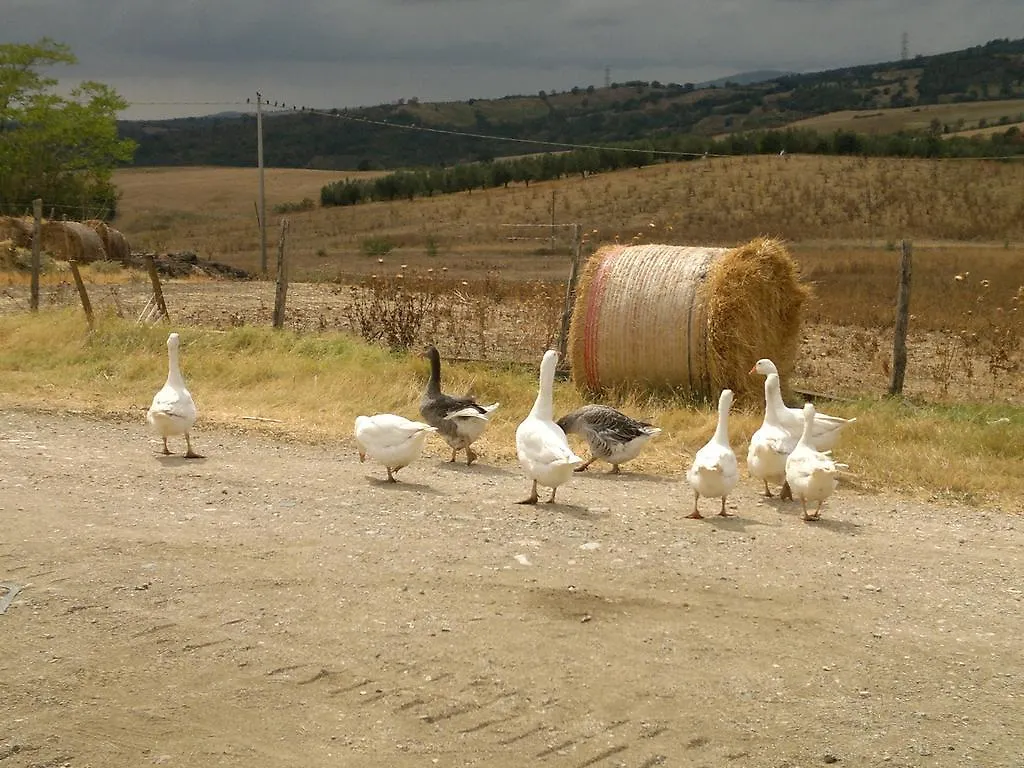 Séjour à la ferme Villa Poggio Mario à Saturnia